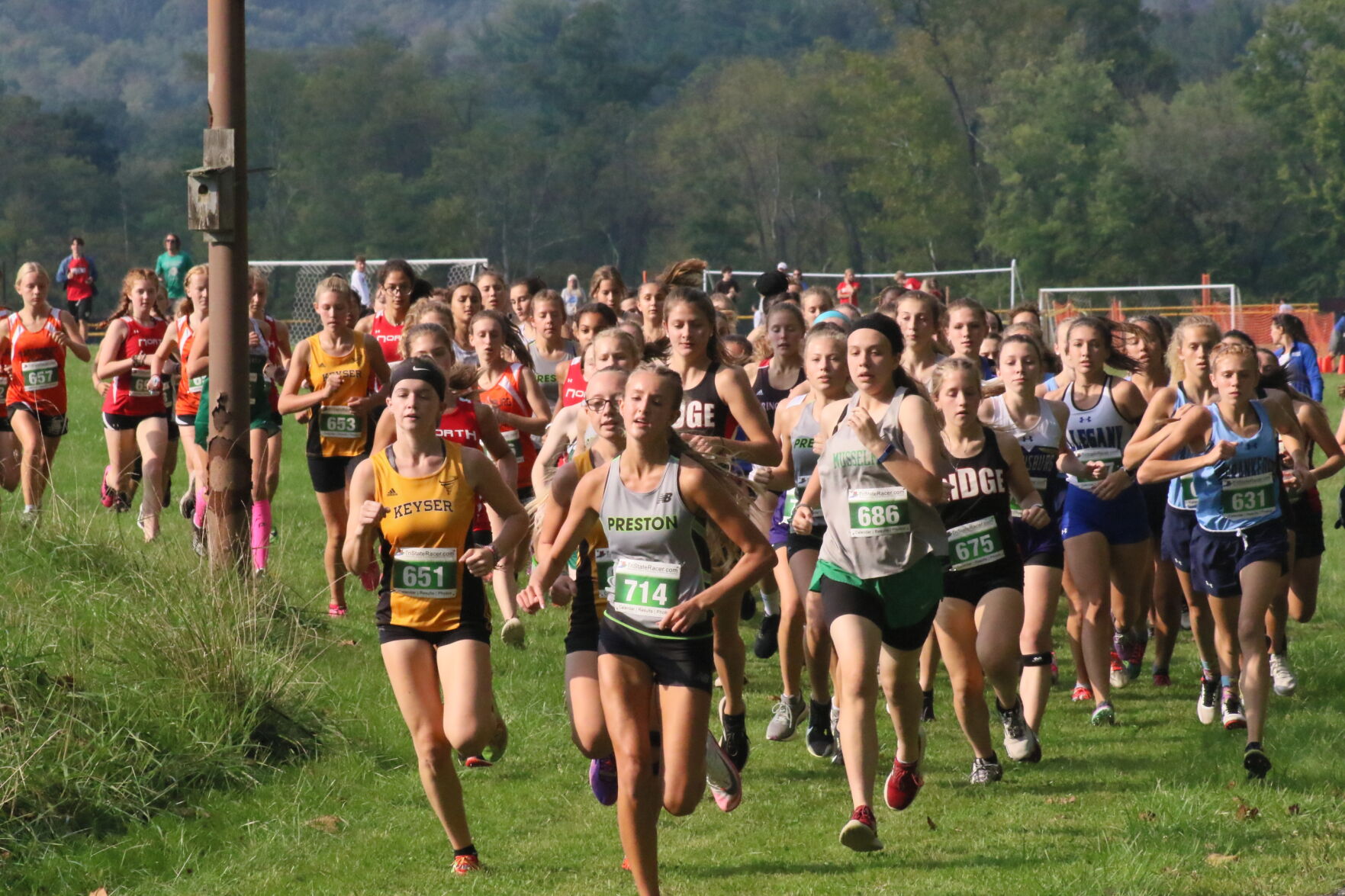 Setting the pace!